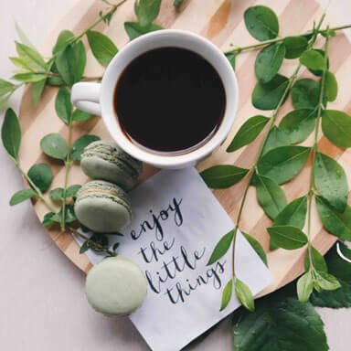 O’Royal Insta 04 Free Img